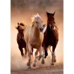 Lovas Gallop 1000 db-os puzzle Clementoni