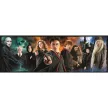 Harry Potter Foe 1000 db-os panoráma puzzle Clementoni