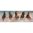 Lovas Brown Horses 1000 db-os panoráma puzzle Clementoni