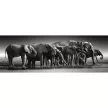 Elefánt Herd of Giants 1000 db-os panoráma Compact puzzle Clementoni