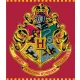 Harry Potter Red coral fleece, polár takaró 120x150cm
