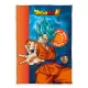 Dragon Ball Super polár takaró 100x140cm