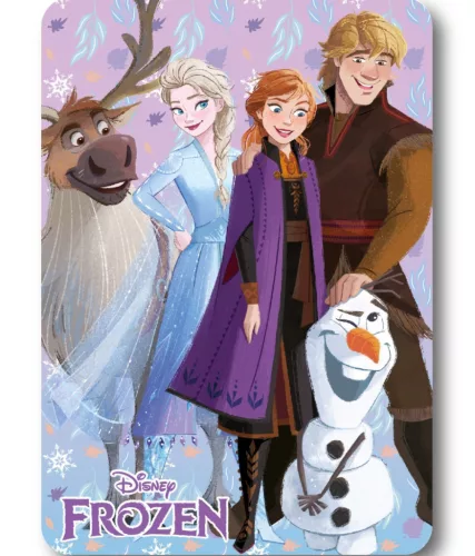 Disney Jégvarázs Winter Friends polár takaró 100x140cm