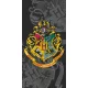 Harry Potter Black Crest fürdőlepedő, strand törölköző 70x140cm