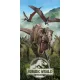 Jurassic World Forest fürdőlepedő, strand törölköző 70*140cm