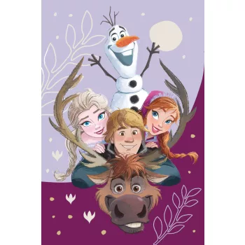 Disney Jégvarázs Family mikroflanel takaró 100x150cm
