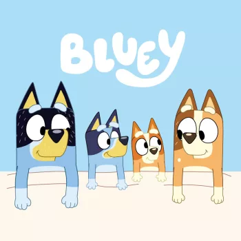 Bluey Cozy kéztörlő, arctörlő, törölköző 30x30cm