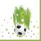 Focis With Stars szalvéta 20 db-os 33x33 cm