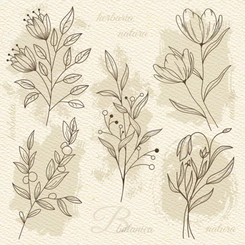 Virág Beige Illustration szalvéta 20 db-os 33x33 cm